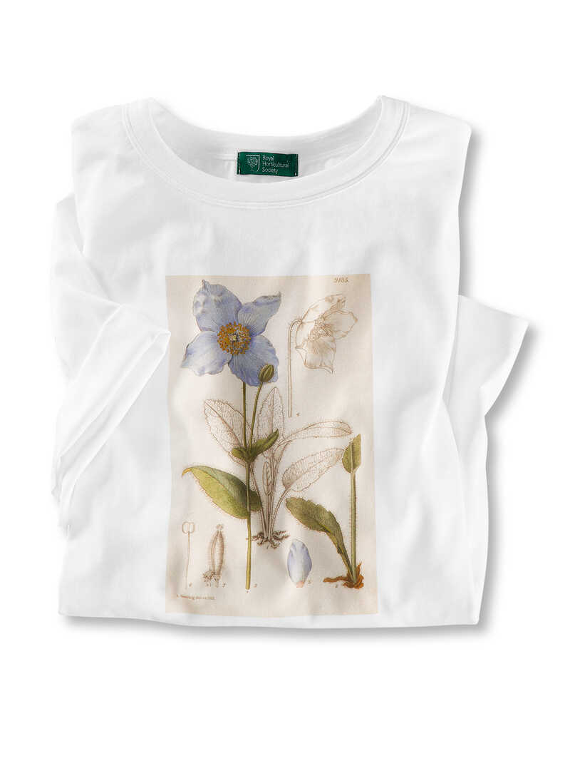 Weißes Damen-Shirt mit Blumen-Print