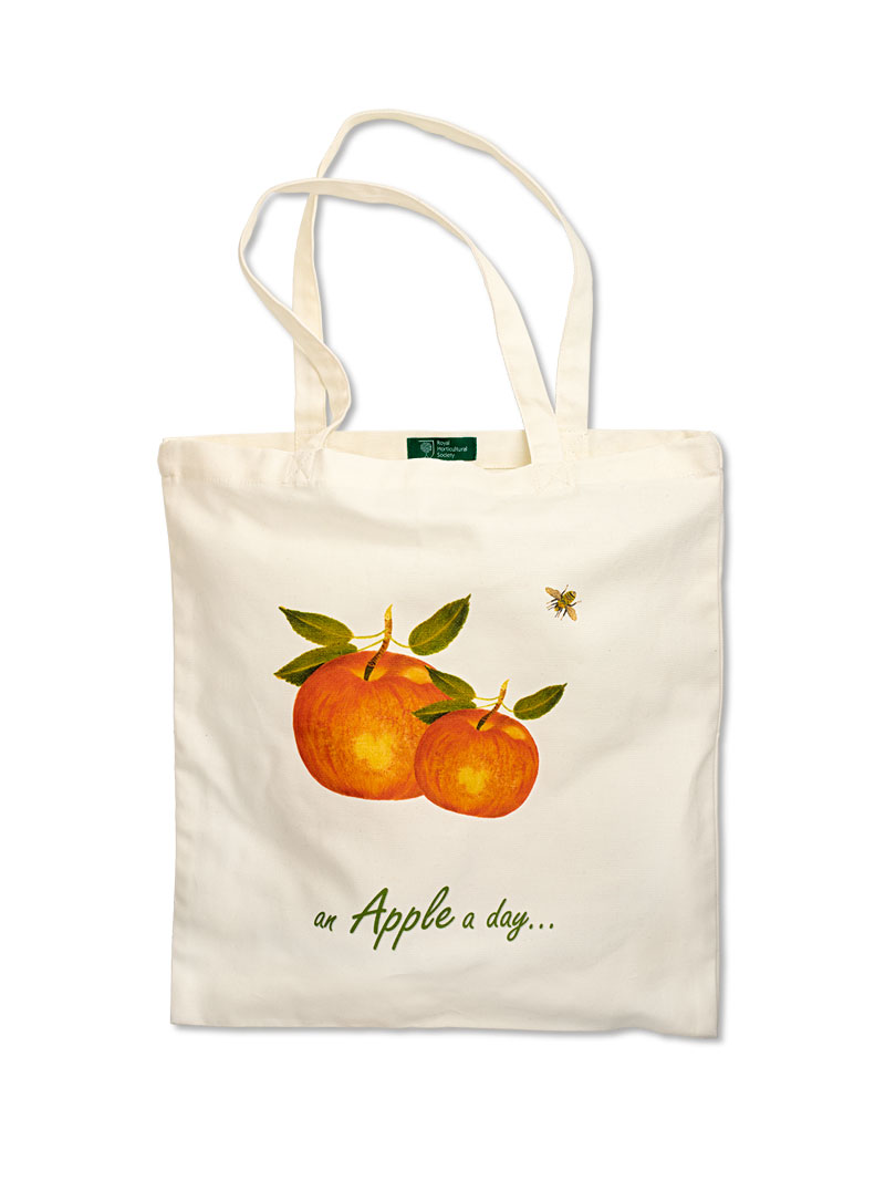 Einkaufstasche mit Apfel