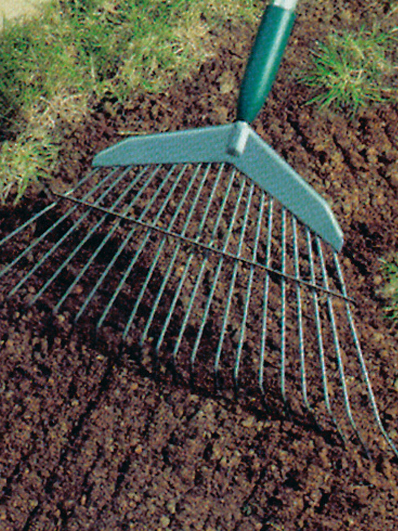 'Rapid Green' von Suttons - Pflanzen & Blumen Garten