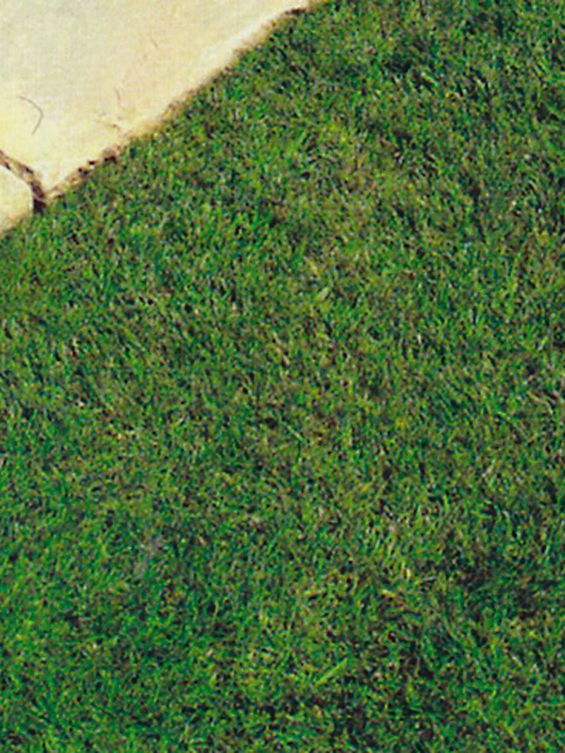 Rasen Saen Dauer Keimung Und Keimdauer Von Rasengrasern Infos