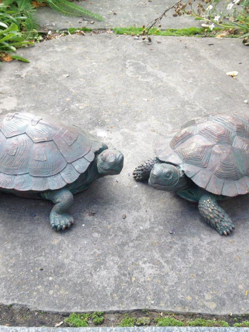 Gartenfiguren Schildkröte