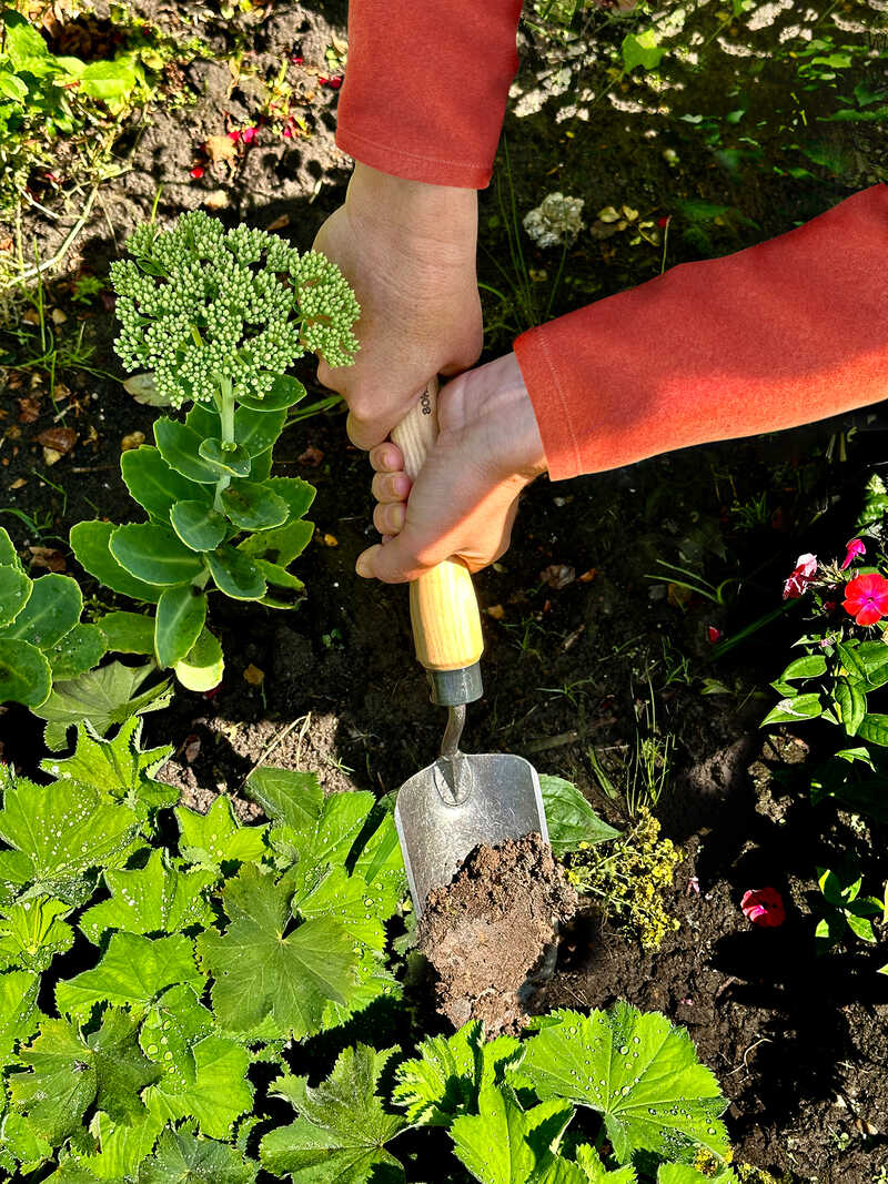 Alternatives Bild 1 zu Pflanzschaufel mit langem Eschenholz-Griff