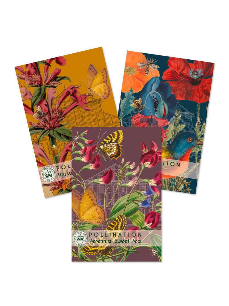 Produktbild zu Drei Sament�tchen Kew Collection