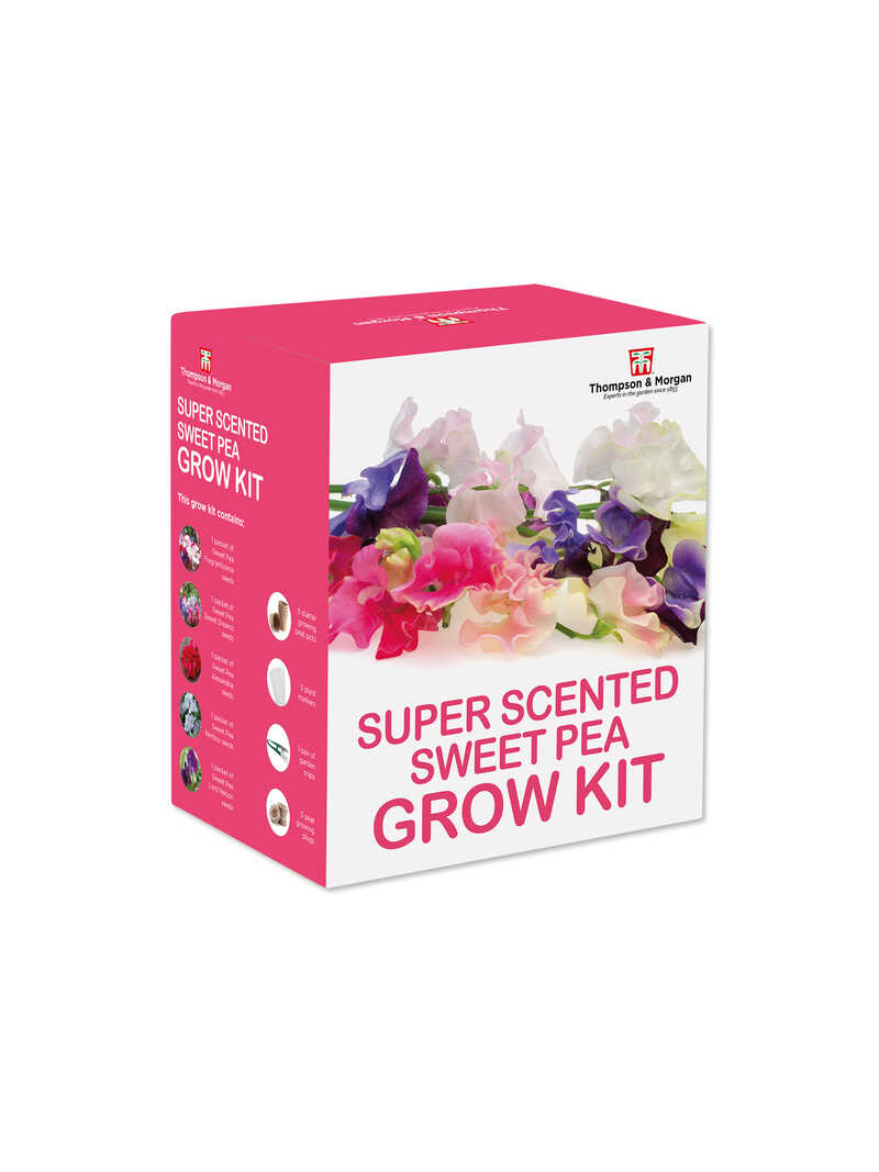 Alternatives Bild 2 zu Growkit f�r original englische Duftwicken