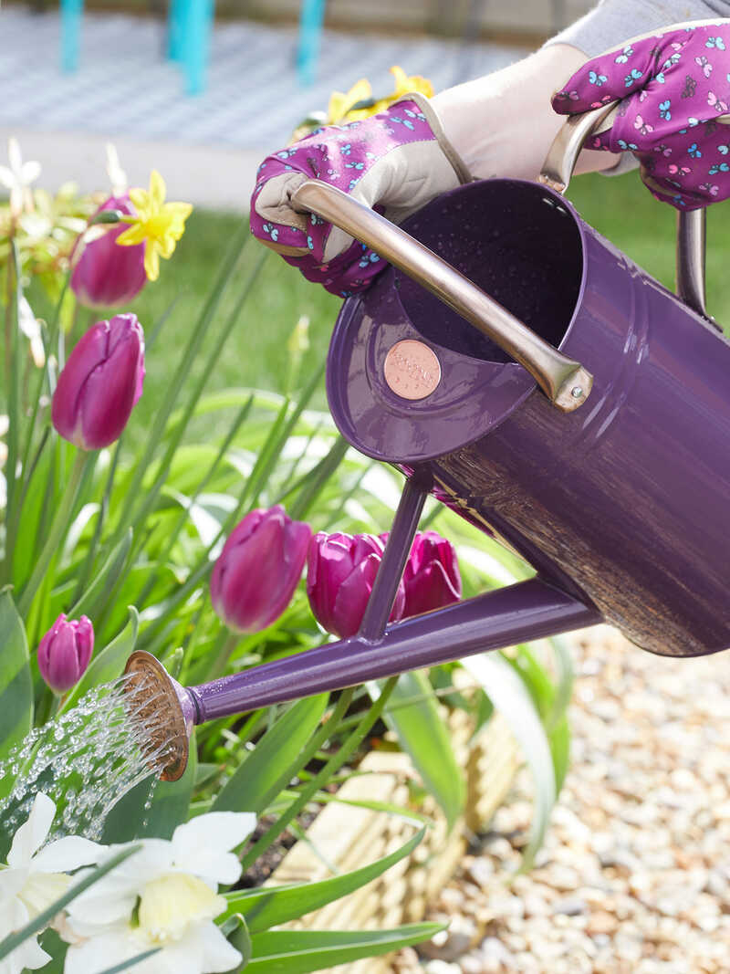 Alternatives Bild 1 zu Metall-Gie�kanne 4,5 Liter