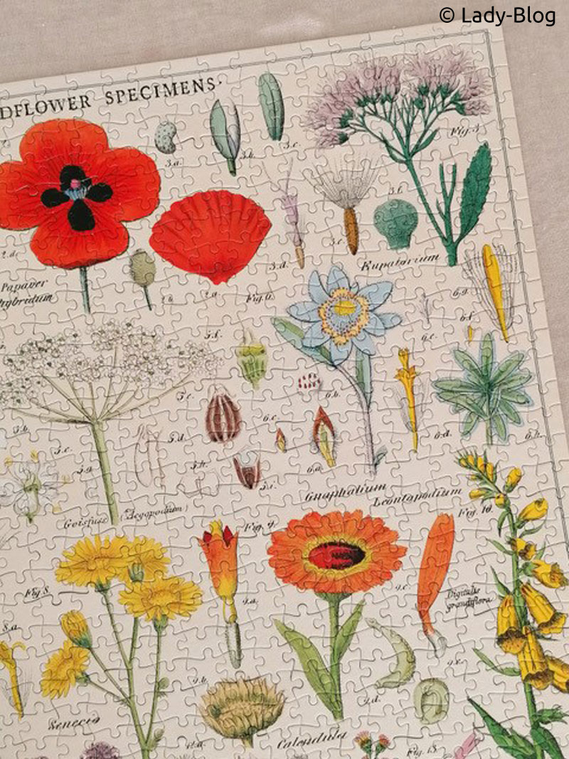  Vintage-Puzzle 'Wildflowers'