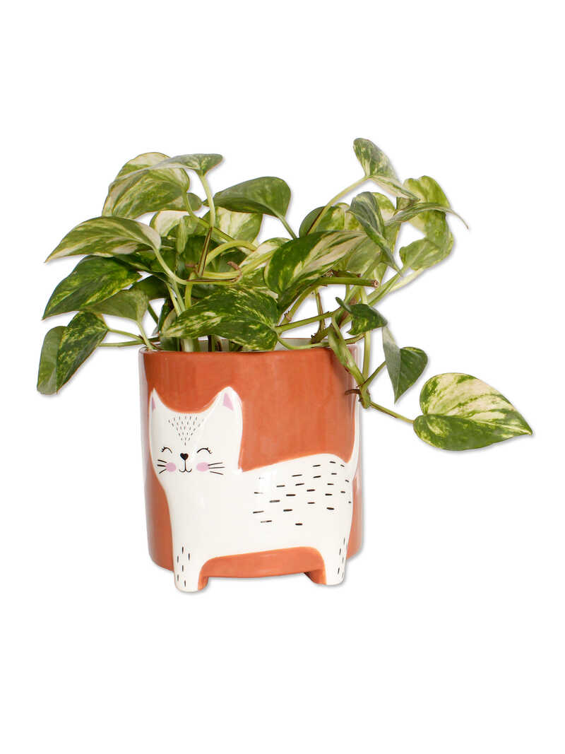 Produktbild zu Blumentopf Katze aus Keramik