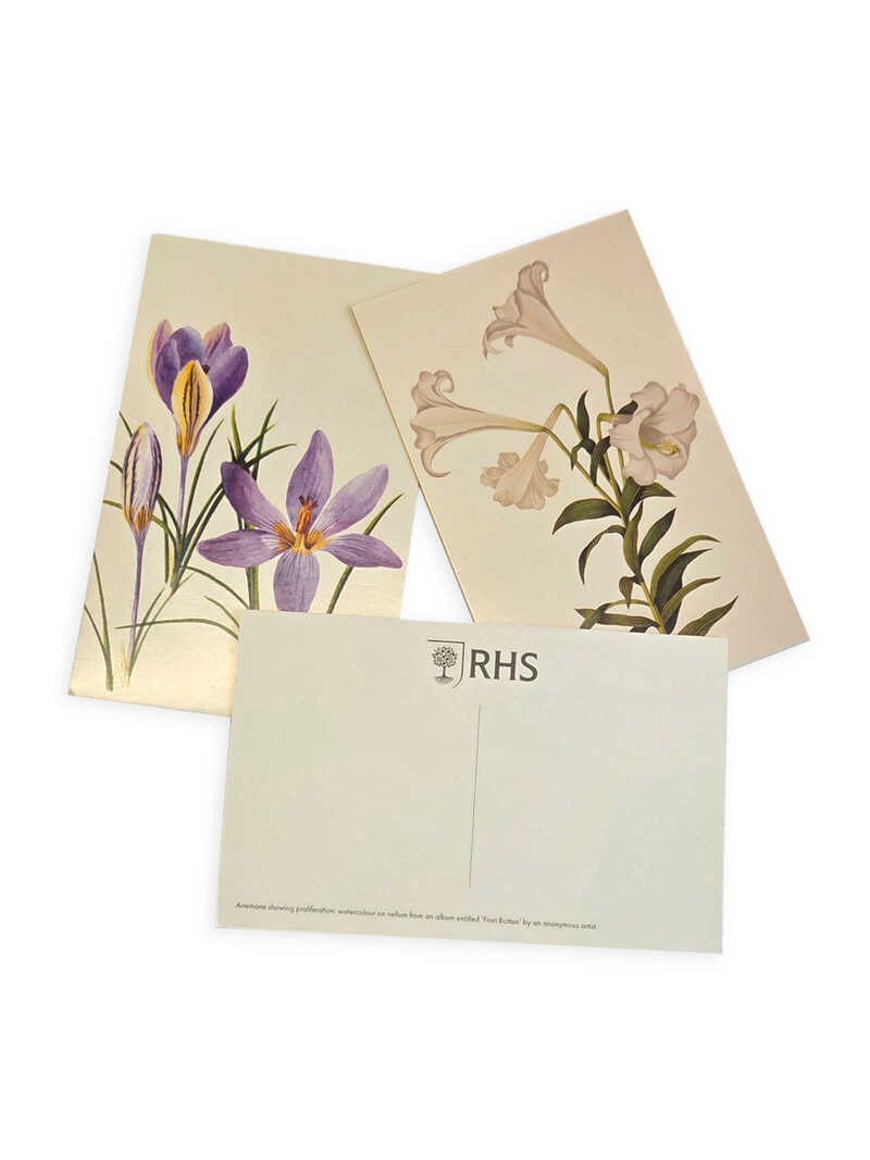 Alternatives Bild 2 zu Geschenkbox mit 100 Postkarten 100 Flowers