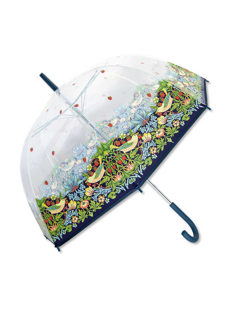 Regenschirm Birdcage mit William Morris Motiv Strawberry Thief