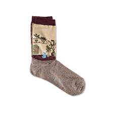 Baumwollsocken fr Damen