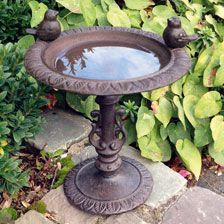 Vogeltr�nke mit zwei V�geln