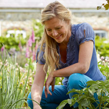 Alernatives Thumbnail 2 zu Gartenhacke mit Edelstahlklinge