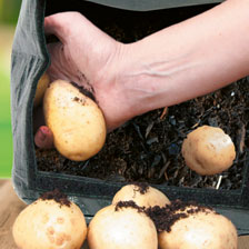 Pflanzsack für Kartoffeln