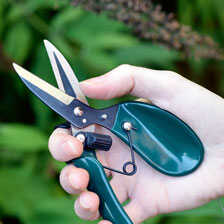 Thumbnail zu Ergonomische Gartenschere