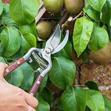 Thumbnail zu Gartenschere Bypass Secateur