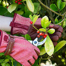 Thumbnail zu Garten-Handschuhe aus Tweed