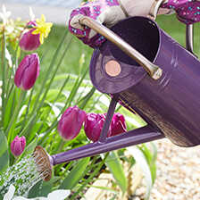 Alernatives Thumbnail 1 zu Metall-Gie�kanne 4,5 Liter