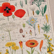 1.000-Teile-Puzzle mit nostalgischem Blumenmotiv