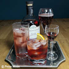 Alernatives Thumbnail 1 zu Sloe Gin Schlehenlikr