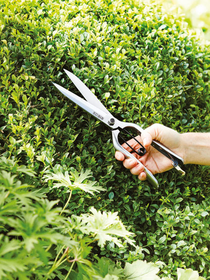 Gartenschere aus Edelstahl f�r Hecken